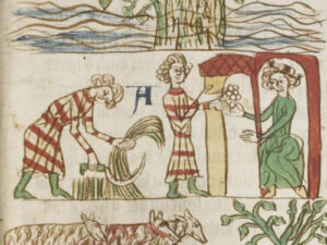Le Miroir des Saxons, vers 1230.