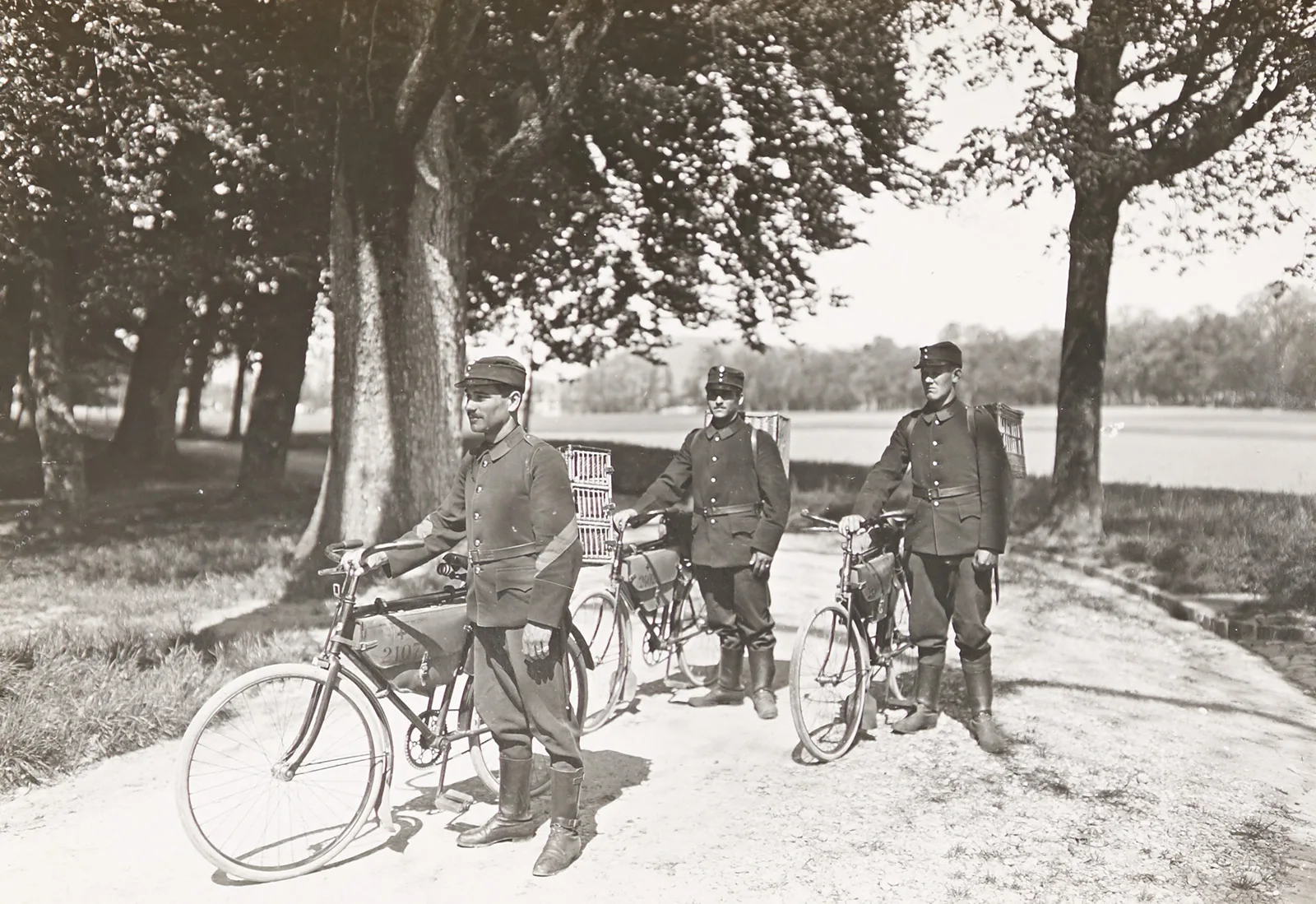 Swiss bicycle infantry patrol with carrier pigeons, from a photo album ca 1914-1918.