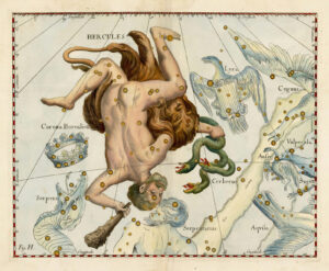 Depiction from the Uranographia by Johannes Hevelius (1611-1687) with the constellation HERCULES (HERACLES), Danzig, 1687.