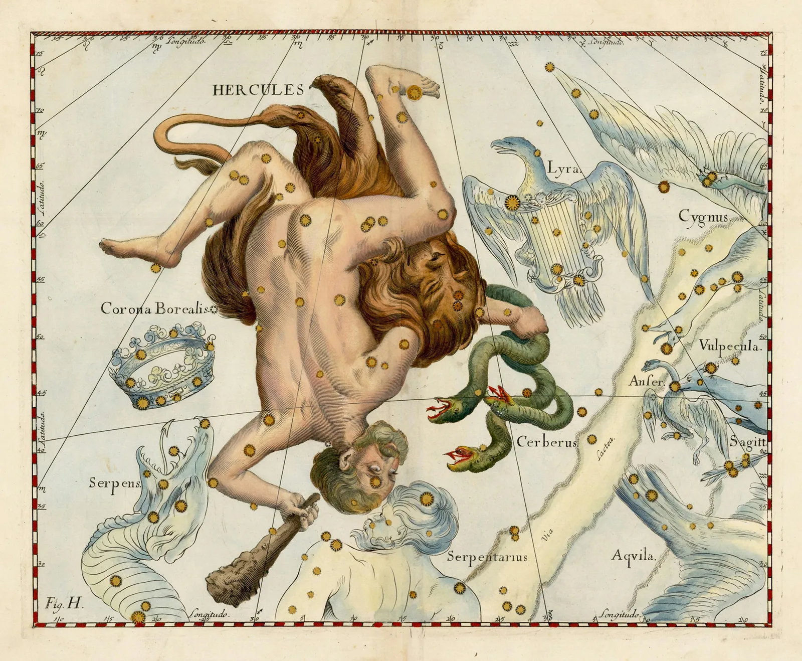 Darstellung aus der «Uranographia» von Johannes Hevelius (1611–1687) mit dem Sternbild HERCULES (HERAKLES), Danzig, 1687.