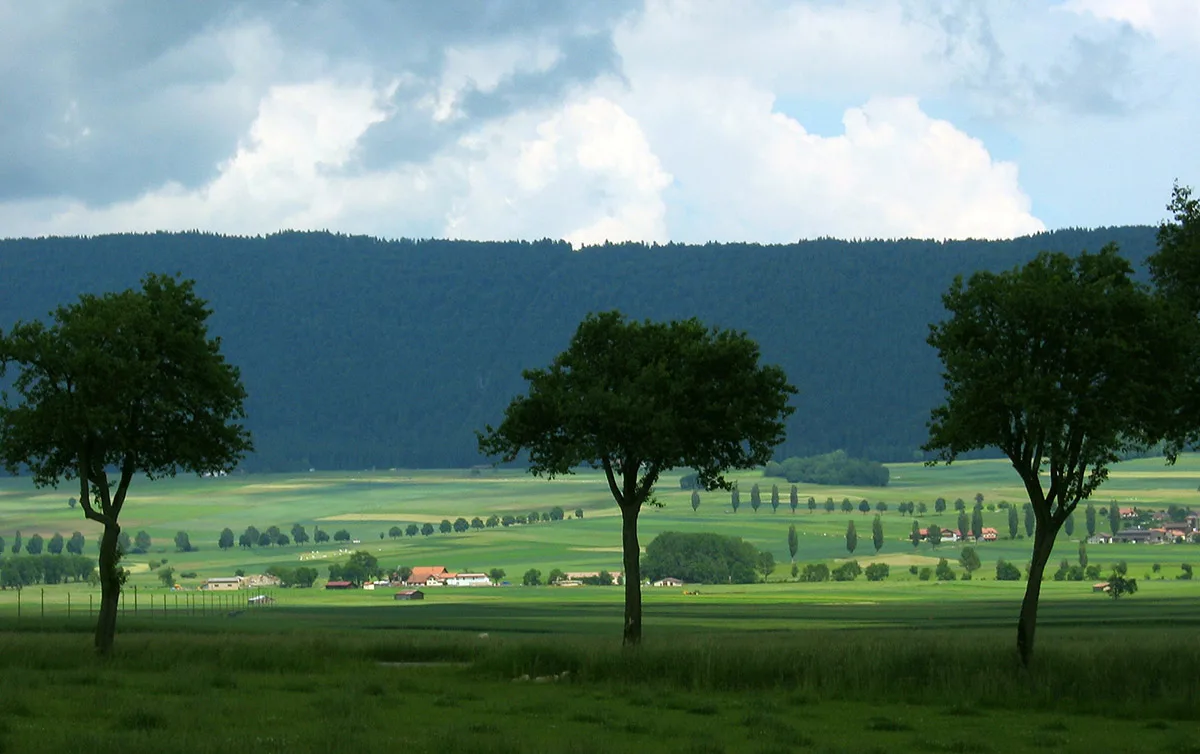 Die Pflege der Alleen hat dem Val-de-Ruz den Preis «Landschaft des Jahres 2022» eingebracht.