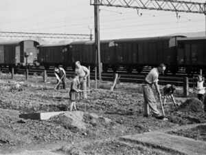 Travail de la terre dans le Wylerfeld à Berne, avril 1943.