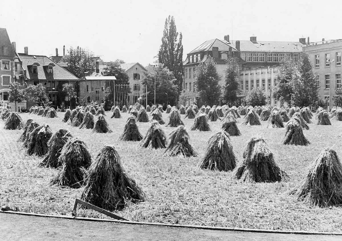 Eine Sportwiese in der Stadt Zürich, 1942.