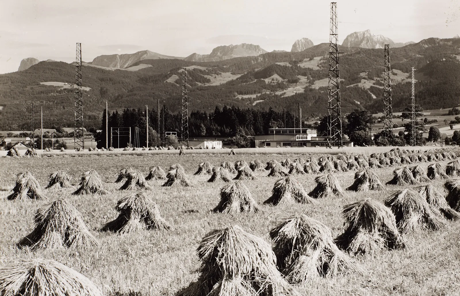 Antennenwald zu Mamishaus