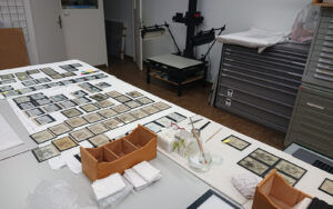 Glass slides of the “Atlas der Schweizerischen Volkskunde” being expertly restored in Regula Anklin’s studio in Basel. The slides were most likely used by Richard Weiss and Paul Geiger in talks.
