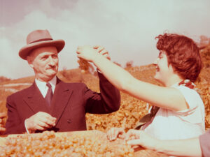 Der Weinbauer Paul Chaudet wurde 1954 in den Bundesrat gewählt. Bei seiner Homestory war der Besuch im Rebberg ein Muss.