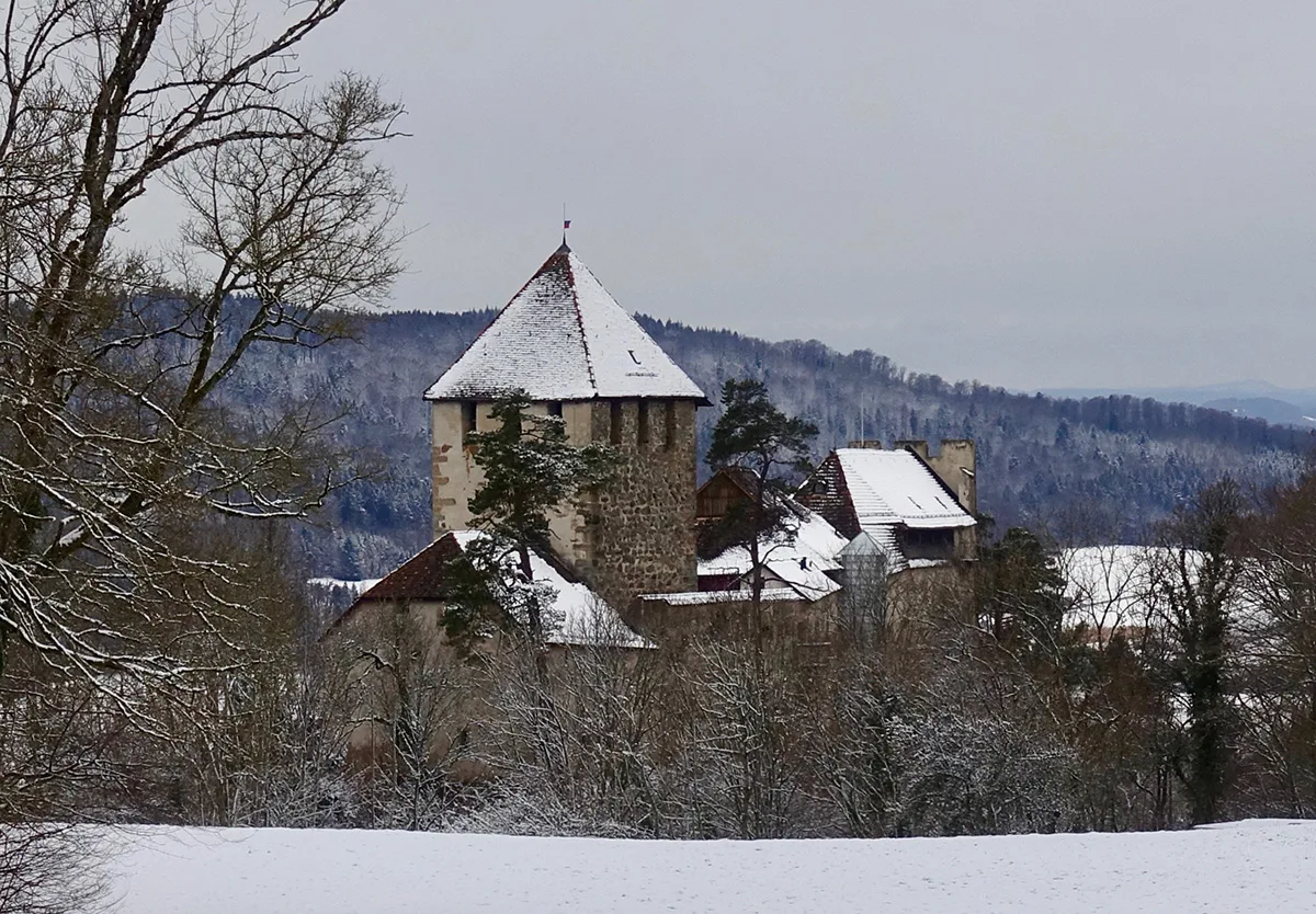 Die Burg Hohenklingen über Stein am Rhein aus nordöstlicher Perspektive.