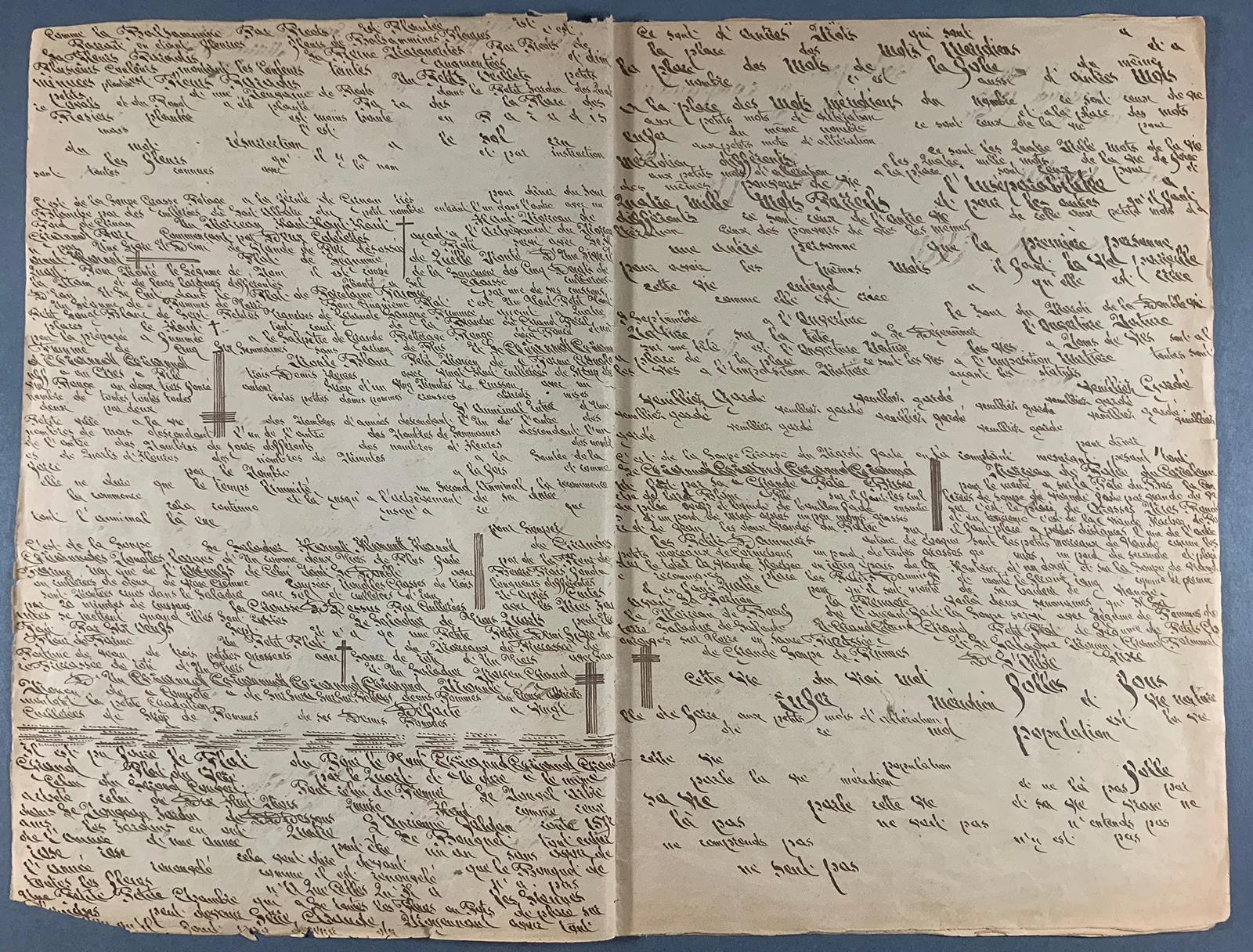 Constance Schwartzlin-Berberat, Journal zwischen 1891 und 1909.