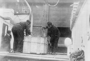 Die Leiche eines Opfers des Untergangs wird von einem Schiff geladen, 24. Mai 1915.