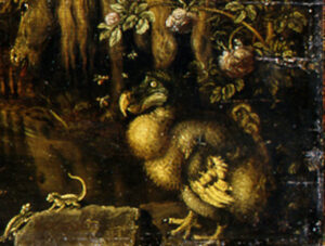 Ein Dodo am rechten unteren Bildrand, Ausschnitt aus Saverys Gemälde Das Paradies.
