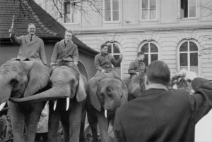 Bundesrat Hans Peter Tschudi (vorne) wird nach seiner Wahl von einer Elefantenparade begrüsst.