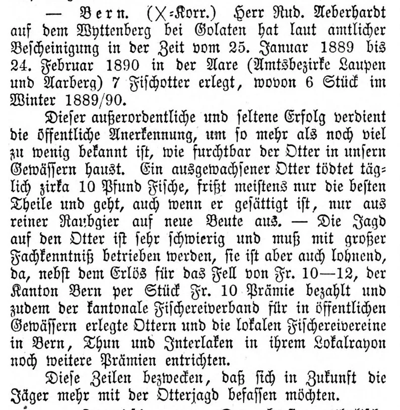Im Geschäftsblatt für den obern Teil des Kantons Bern wird 1890 ein Jäger für das Erlegen von sieben Fischottern gelobt. Gleichzeitig werden andere Jäger ermutigt, ebenfalls der finanziell lohnenden Otterjagd nachzugehen.