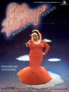 Cinemas in the cantons were in some cases still subject to strict censorship until the 1970s. The screening of the film Pink Flamingos was banned in the canton of Zurich in 1974 in response to a complaint by someone who had only read a write-up of the film. Poster for the film Pink Flamingos by John Waters, 1972.