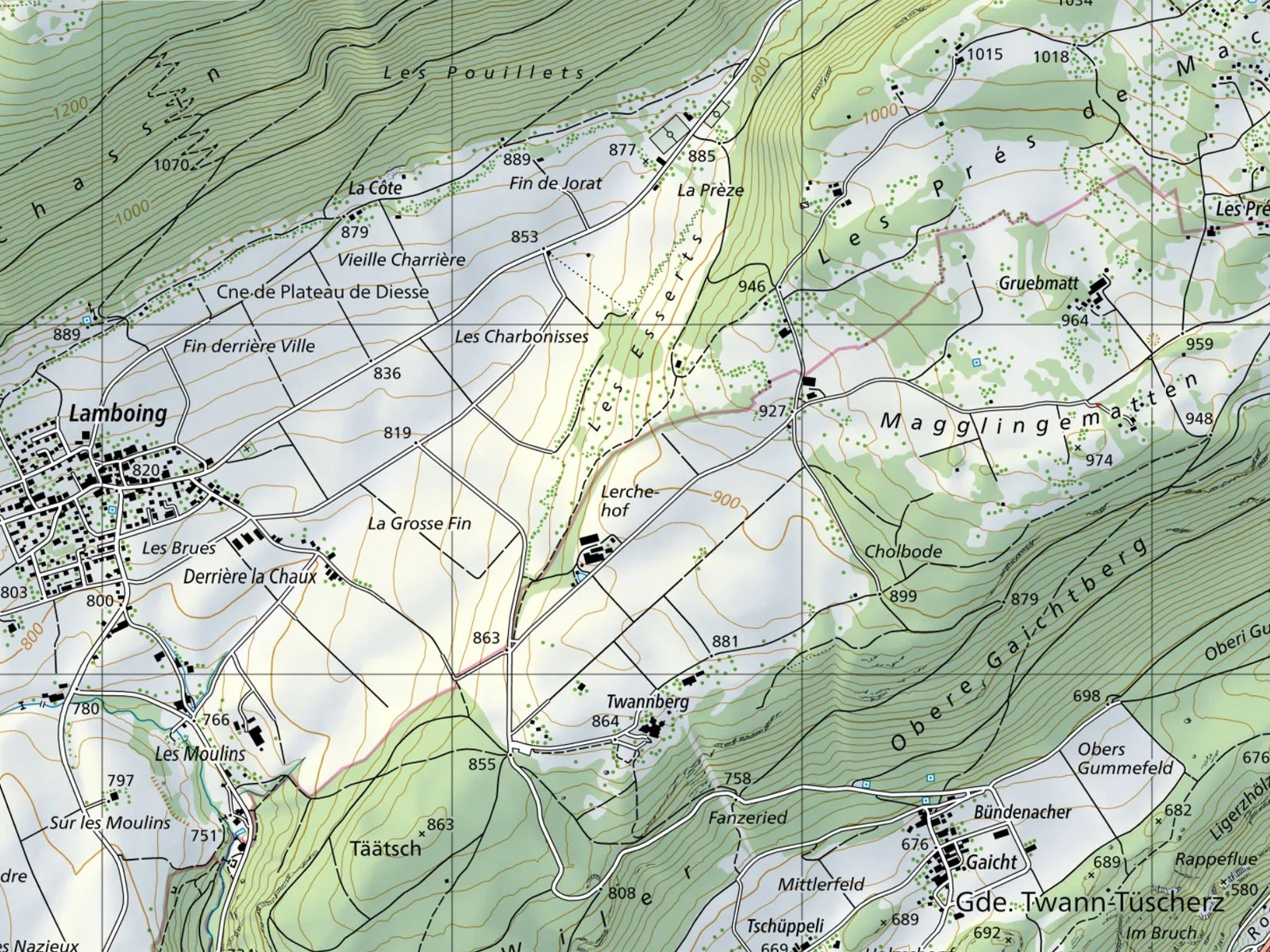 Oberhalb der Stadt Biel-Bienne treffen der französische und deutsche Sprachraum aufeinander. Das zeigt sich in den Flurnamen. Während Flurnamen wie «Gruebmatt» oder «Cholbode» auf der deutschschweizer Seite der Dialektbezeichnung folgen, sind «Les Moulins» oder «Derrière la Chaux» in der französischen Standardsprache bezeichnet.