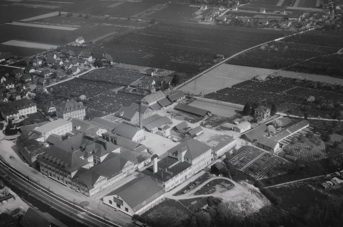 Die Hero Conservenfabrik in Lenzburg, 1931.