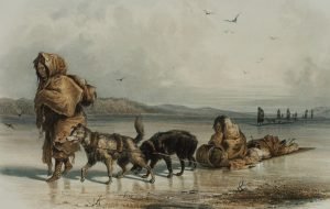 "Dog sledges of the Mandan Indians". Illustration by Karl Bodmer from the publication Travels in the Interior of North America, around 1841.