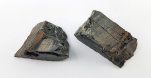 Pieces of pitch coal from the banks of the Rotache.