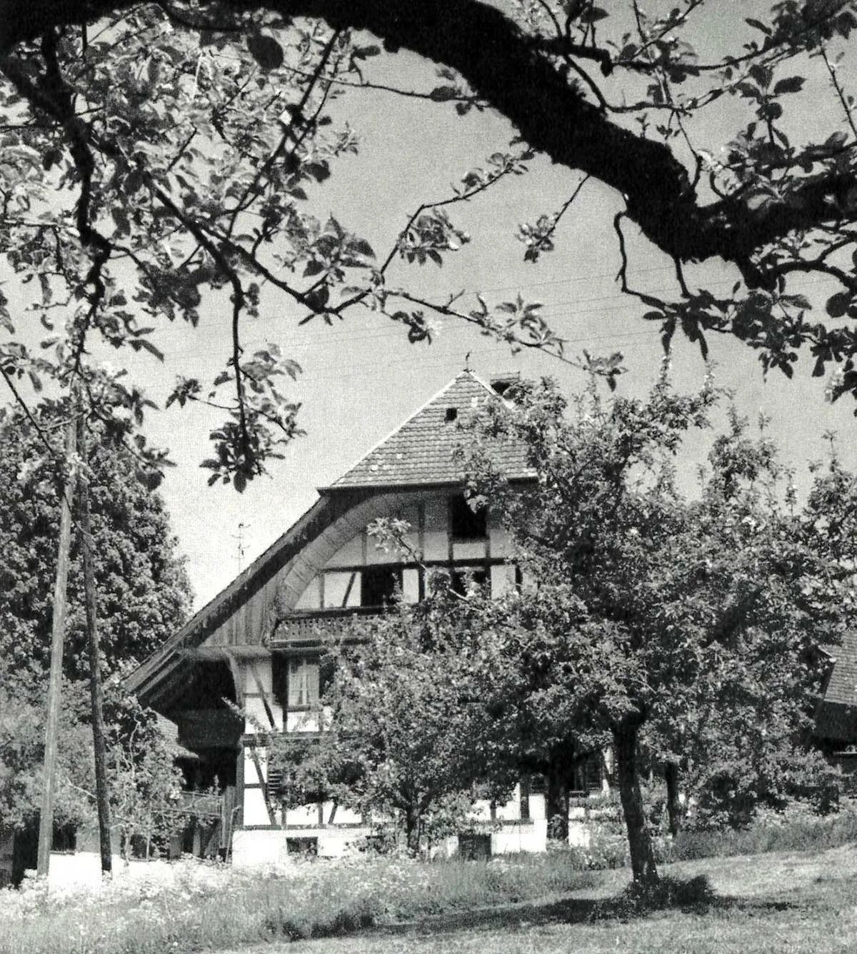 Das Längmatthaus, fotografiert Mitte des 20. Jahrhunderts.