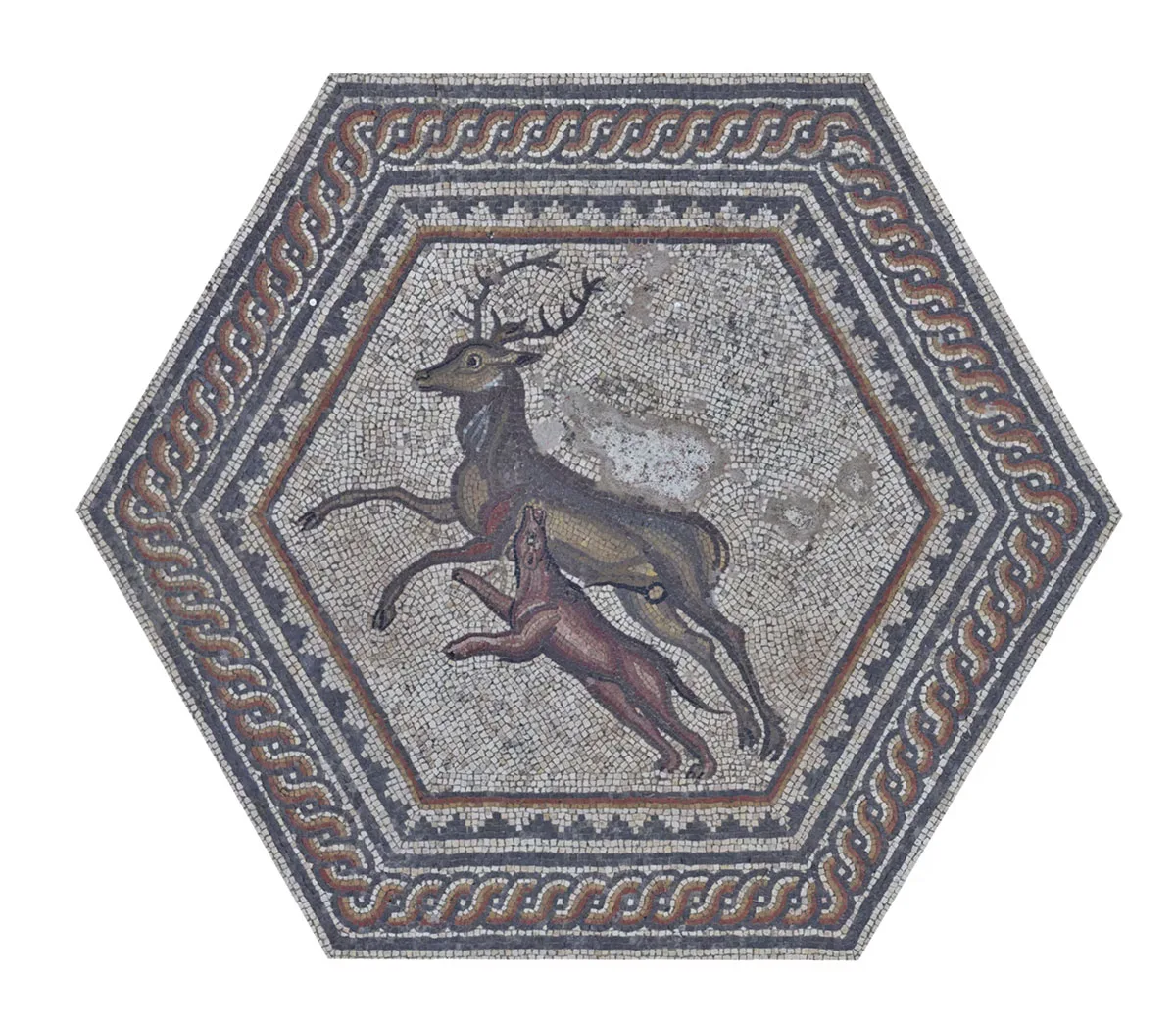 Detail of the Venatio Mosaic from the villa in Vallon: a hunting hound attacking a deer.