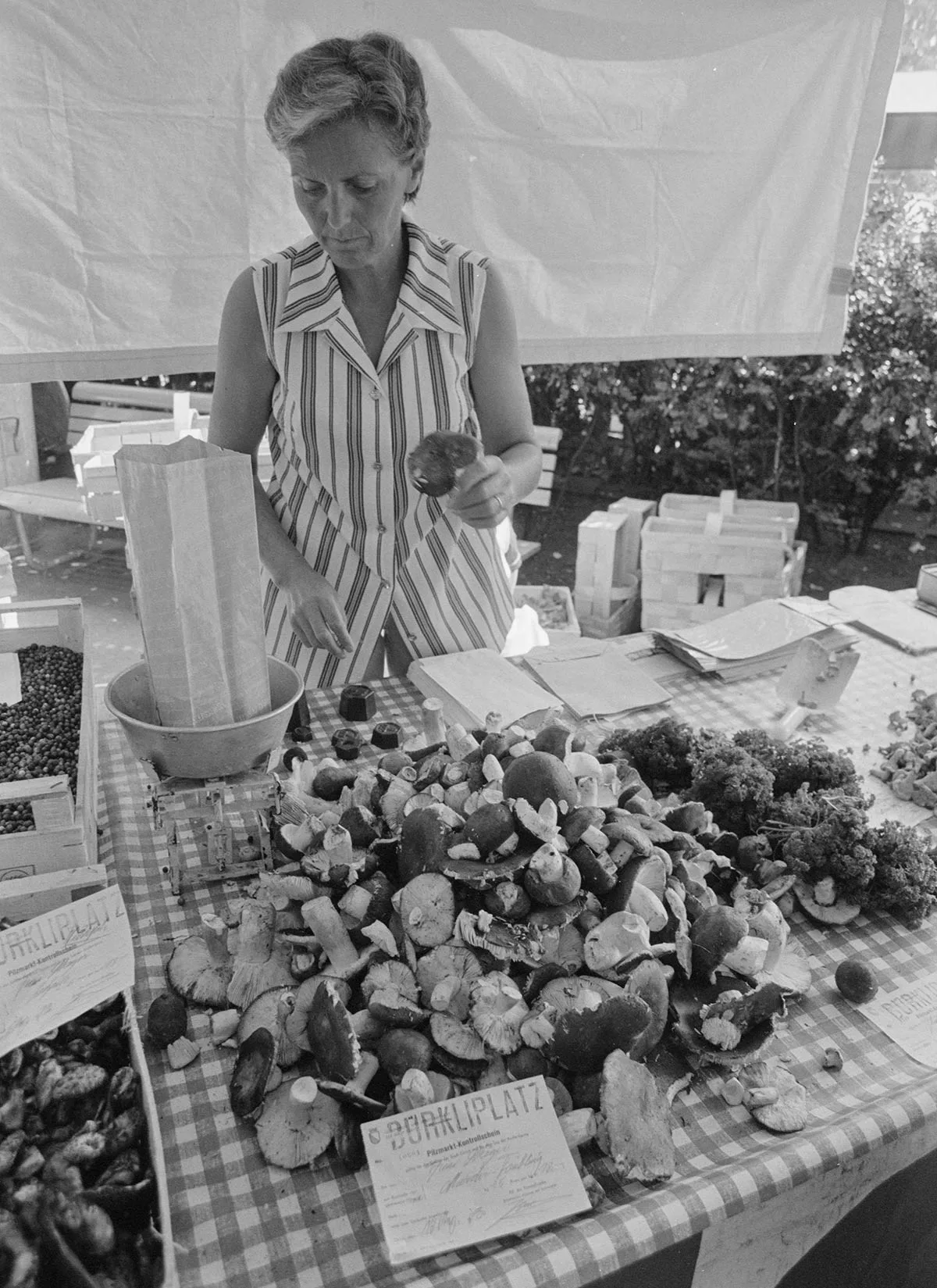 Pilzverkauf auf dem Zürcher Bürkliplatz im Spätsommer 1973.