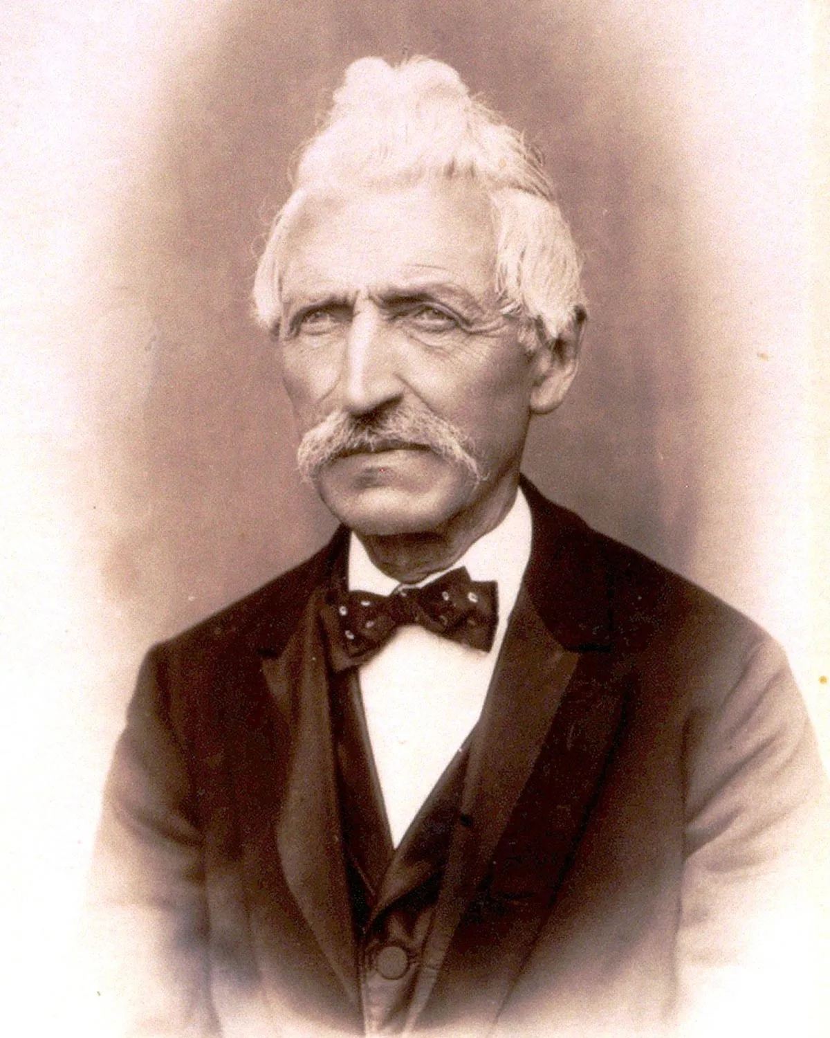 Porträt von Arnold Rikli, um 1870.