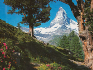 C'est ainsi que de nombreux touristes s'imaginent la Suisse: Un paysage alpin idyllique. Carte postale avec le Cervin, 1980.