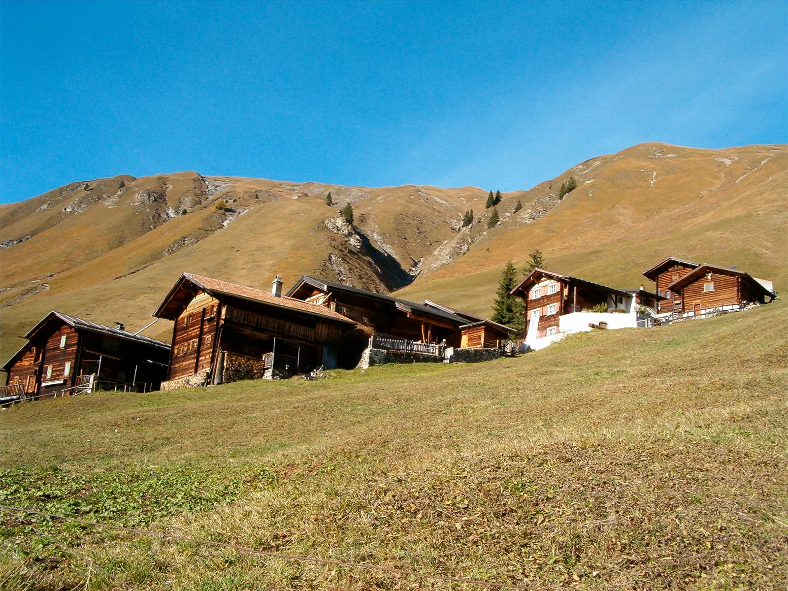 Die ehemalige Walsersiedlung Sapün, unterhalb von Arosa GR.