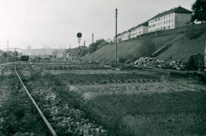 Ehemaliges Schienenlager bei Winterthur, nun für den Mehranbau genutzt, um 1943.