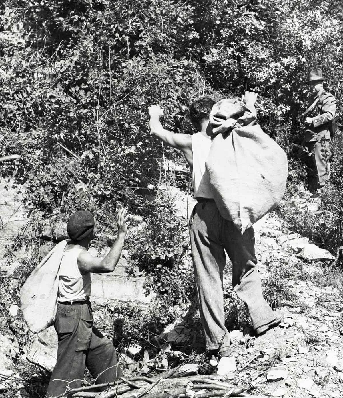 Inszenierung der Verhaftung von zwei Schmugglern im Tessin, vermutlich Ende der 1940er-Jahre.