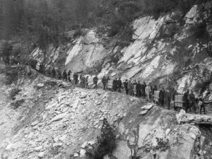 Transport der Steinböcke in den Nationalpark zur Auswilderung, 1920.