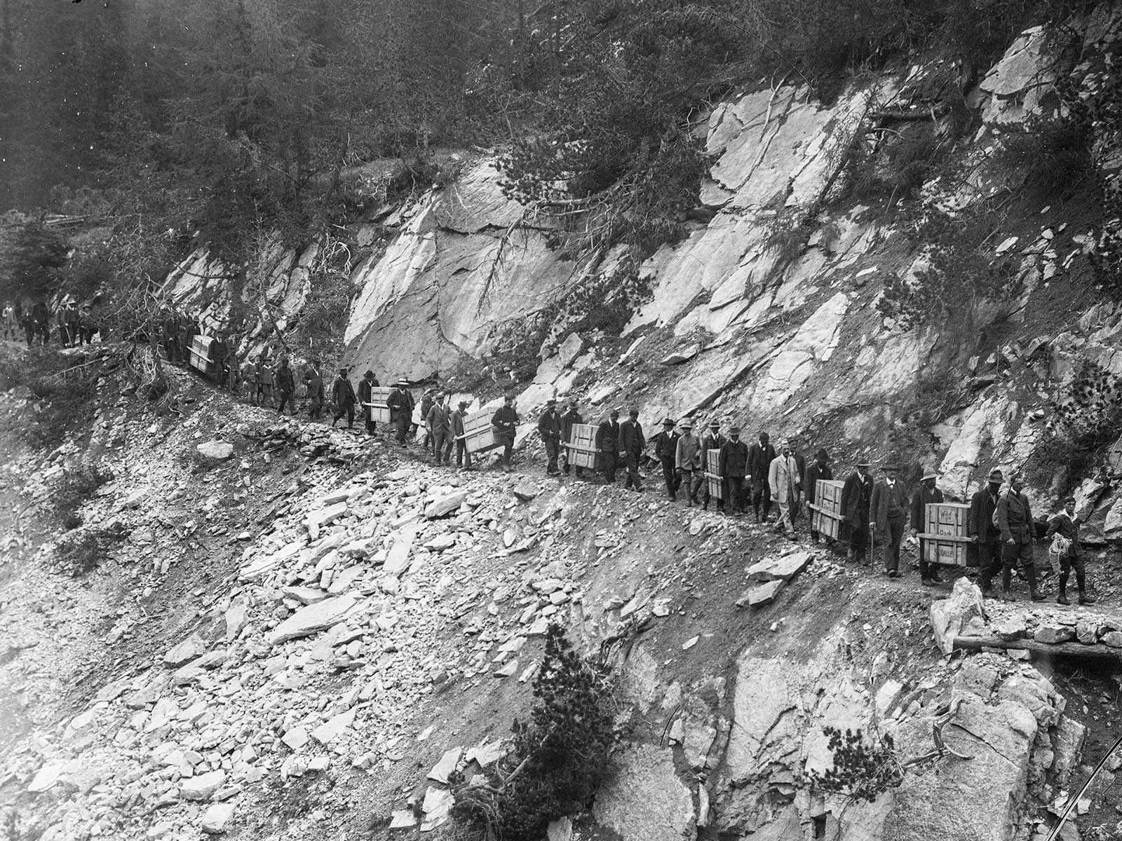 Transport der Steinböcke in den Nationalpark zur Auswilderung, 1920.