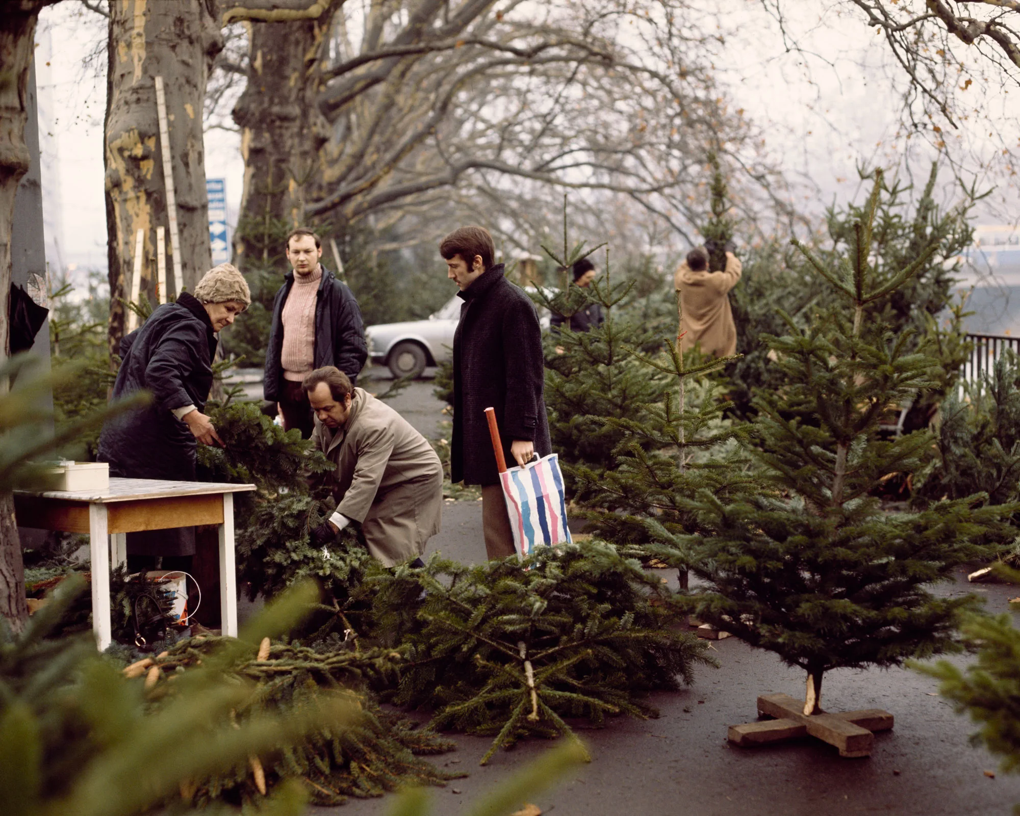 Verkauf von Weihnachtsbäumen in Zürich, 1971.