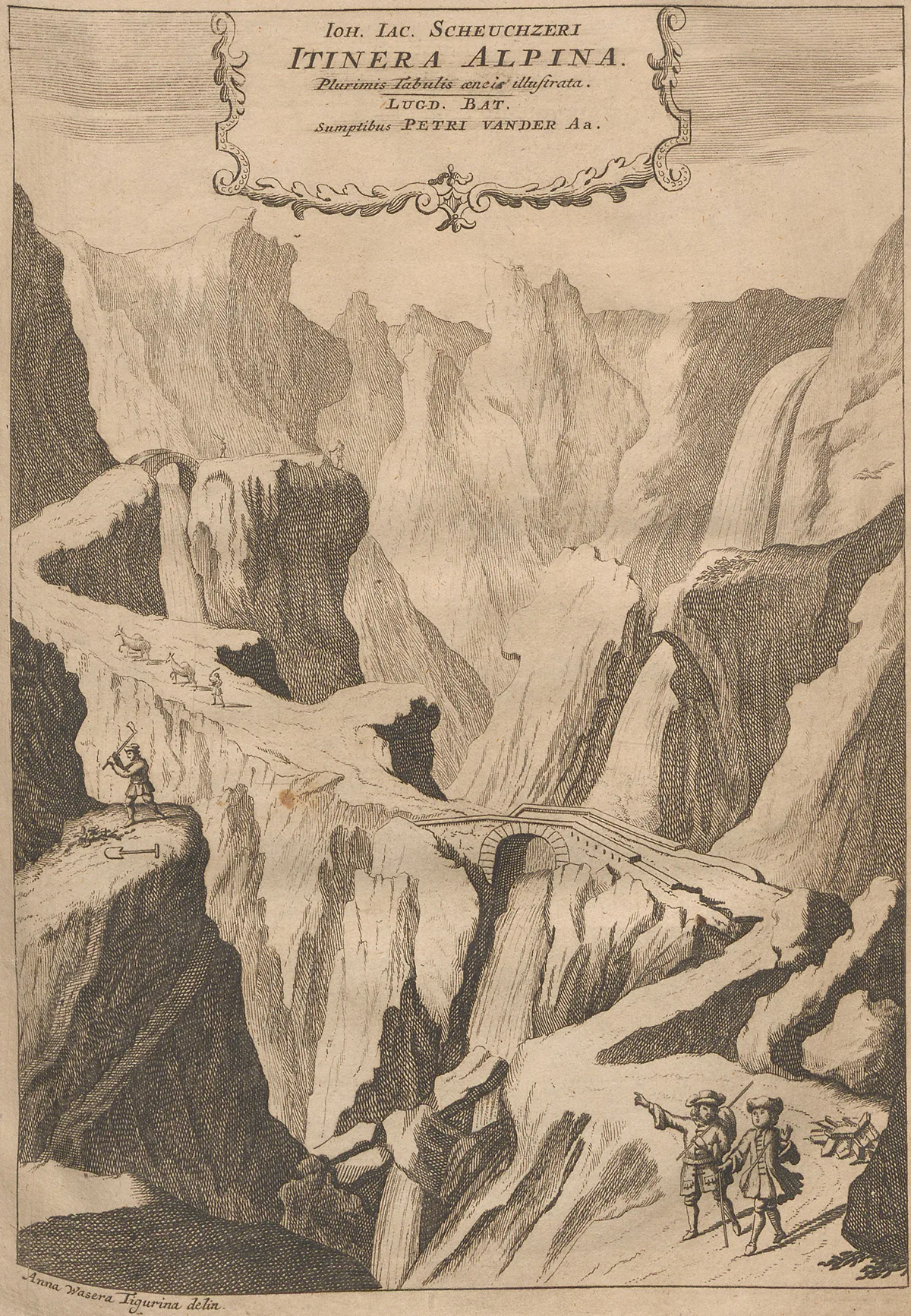 Abbildung aus Johann Jakob Scheuchzers «Ouresiphoites Helveticus, sive, itinera per Helvetiae alpinas […]», 1723.