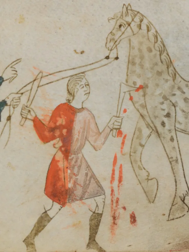 Illustrationen eines Aderlasses.