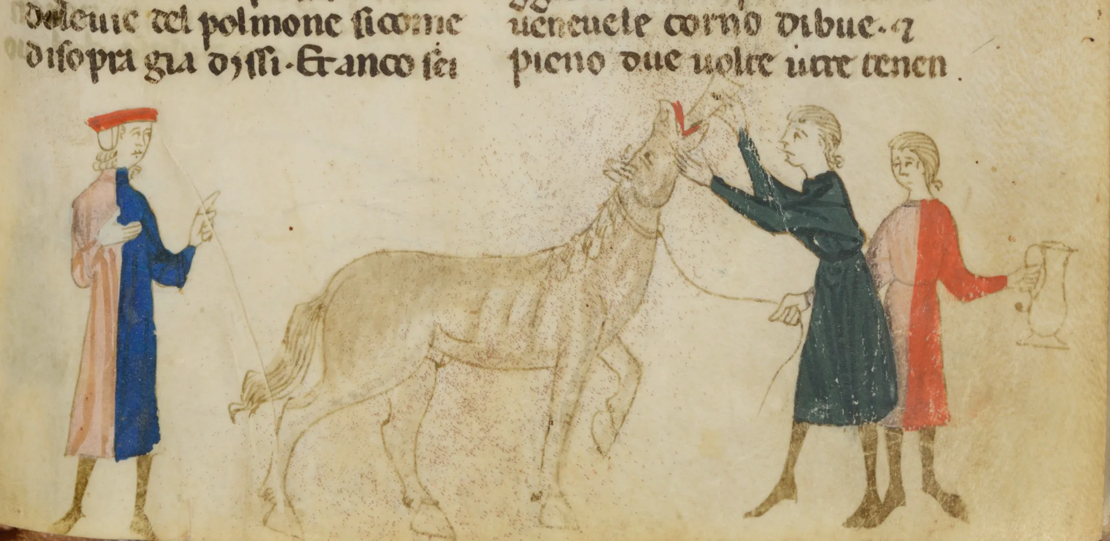 Einem Pferd wird Medizin verabreicht. Darstellung aus "Lo libro dele marescalcie dei cavalli" von Giordano Rosso, 13. Jahrhundert.