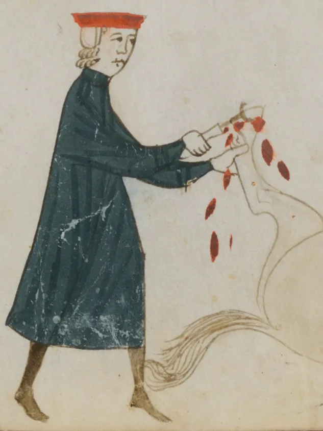 Illustrationen einer Hufbehandlung.