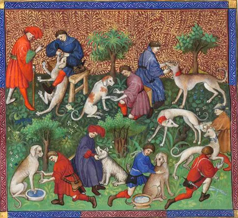 Auch die Krankheiten von Hunden wurden im Mittelalter behandelt. Illustration aus einem französischen Jagdbuch, 14. Jahrhundert.