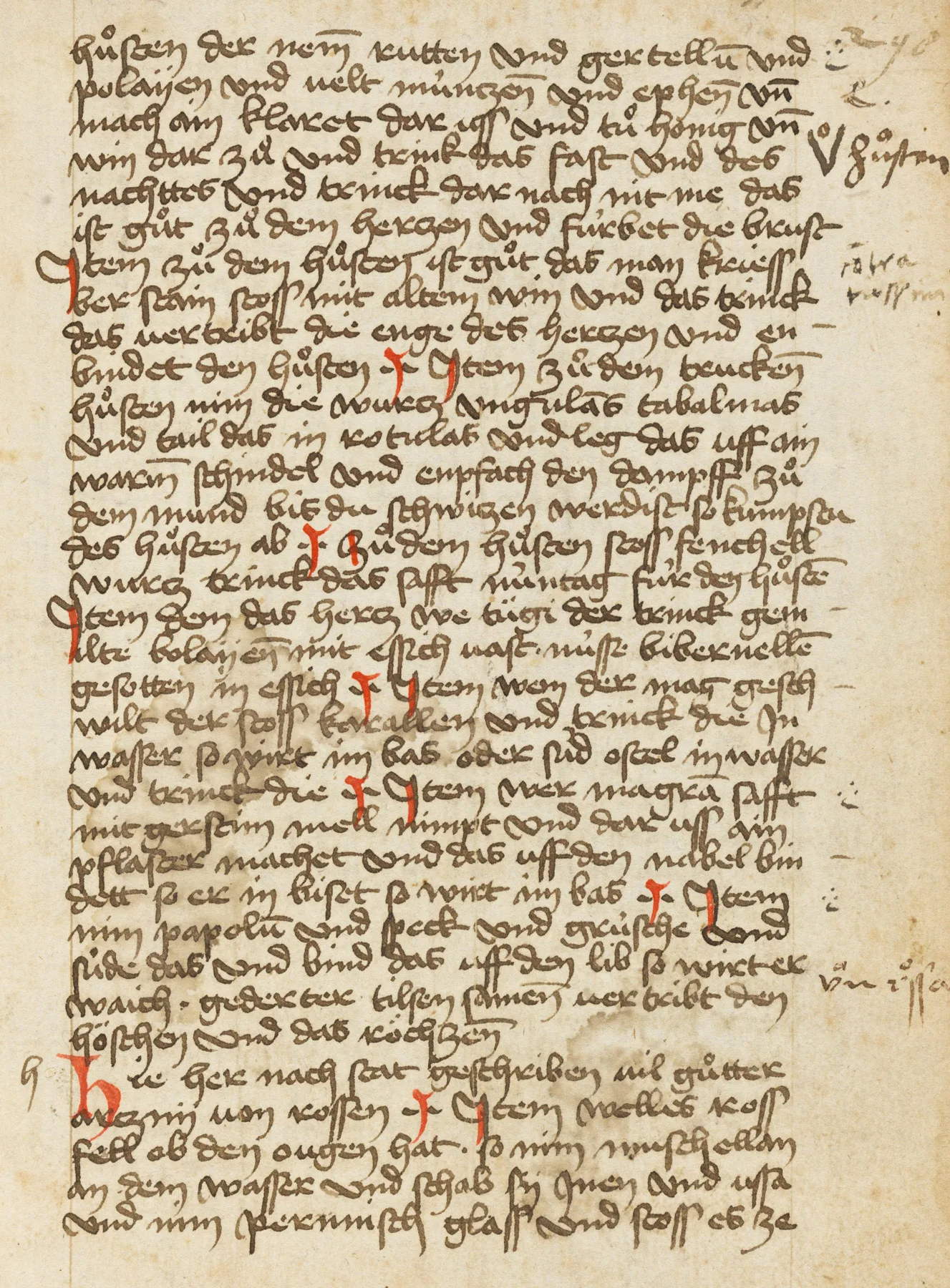Auszug aus der medizinischen Sammelhandschrift mit der Signatur «Codex S 386», ca. 1463-1466.