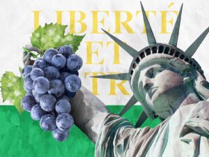 When a man from Vaud set out to bring his knowledge of wine to North America… Illustration by Marco Heer.
