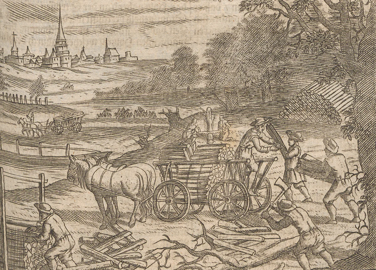 Sägen, hacken, zerteilen: Waldarbeit im 17. Jahrhundert. Holzschnitt aus dem «Georgica curiosa», einem Lehrbuch zur Haus- und Landwirtschaft, um 1685.