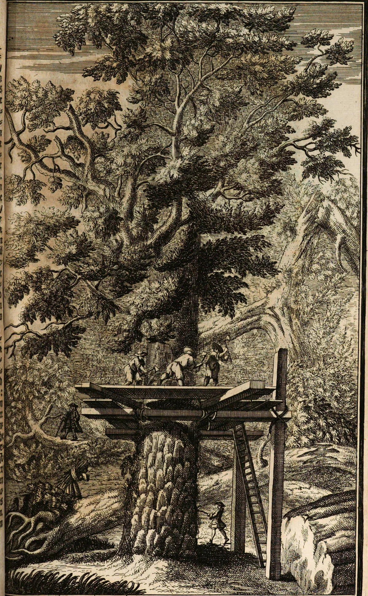 Waldwirtschaft im 18. Jahrhundert. Illustration aus dem Buch von Hannß Carl von Carlowitz.