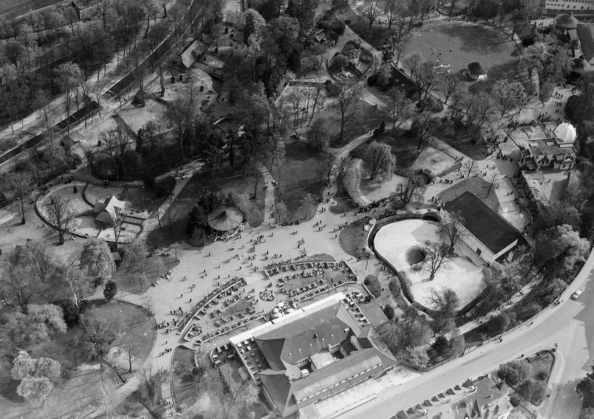 Luftaufnahme des Basler Zoos, 1954.