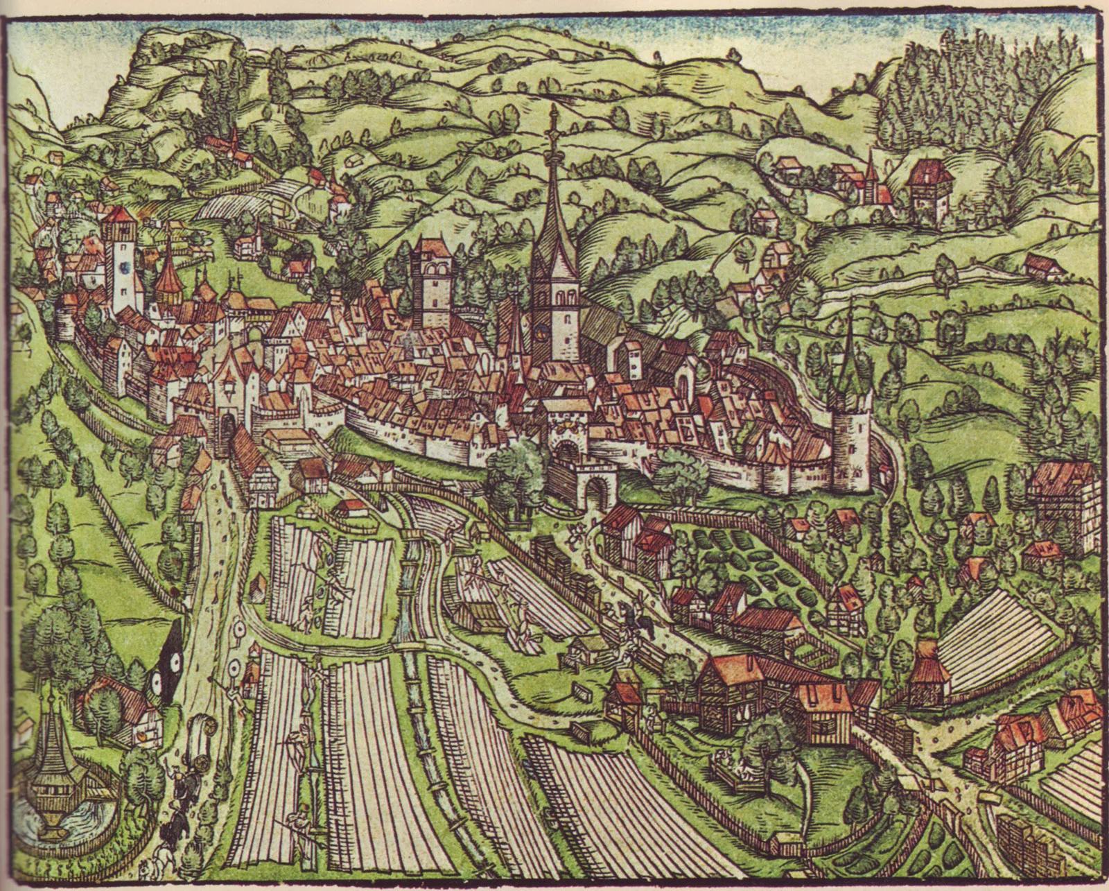 Zum Bleichen ausgelegte Leinwandbahnen vor der Stadt St. Gallen in einer Darstellung von 1545. Noch heute zeugt der städtische Flurname «Kreuzbleiche» von der einstigen Bedeutung dieses Vorganges.